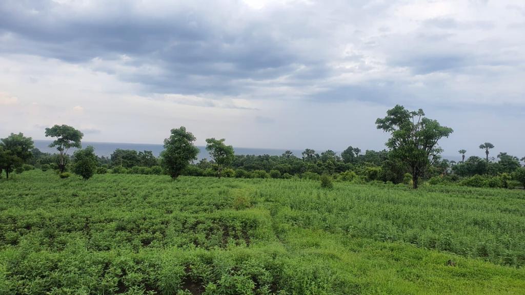 980097ec-4baf-431d-b79e-7d530b002bf3