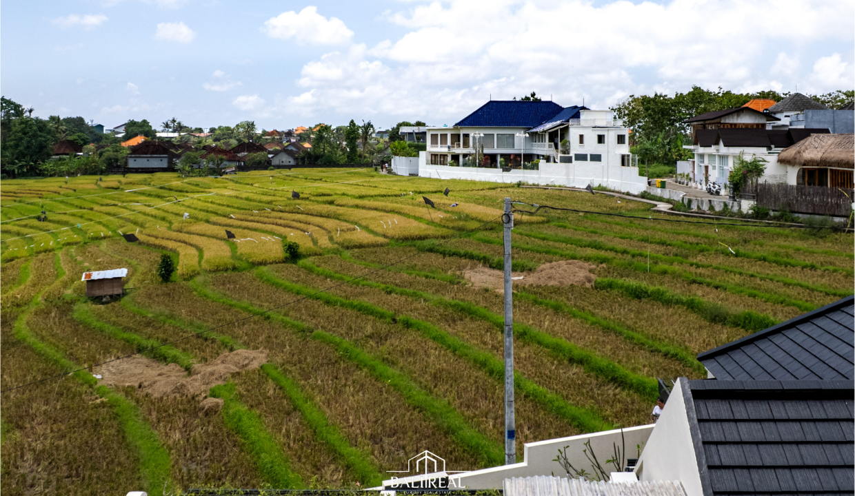 Untitled design.zip - 3